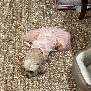 Meet your Posher, Krista